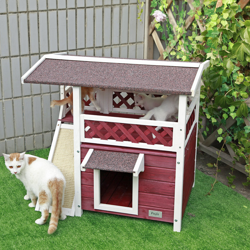 Petsfit Outdoor Indoor Cat House Wayfair